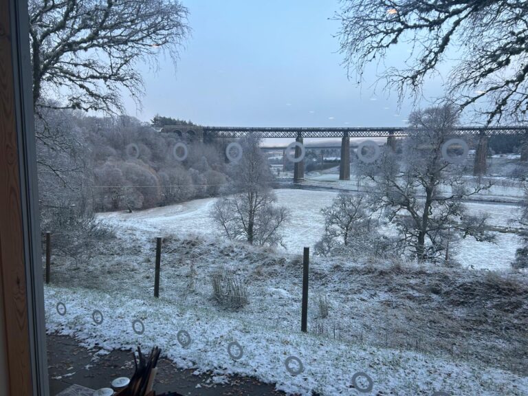 winter_views
